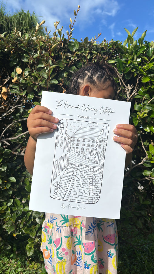 The Bermuda Colouring Book - Vol. 1