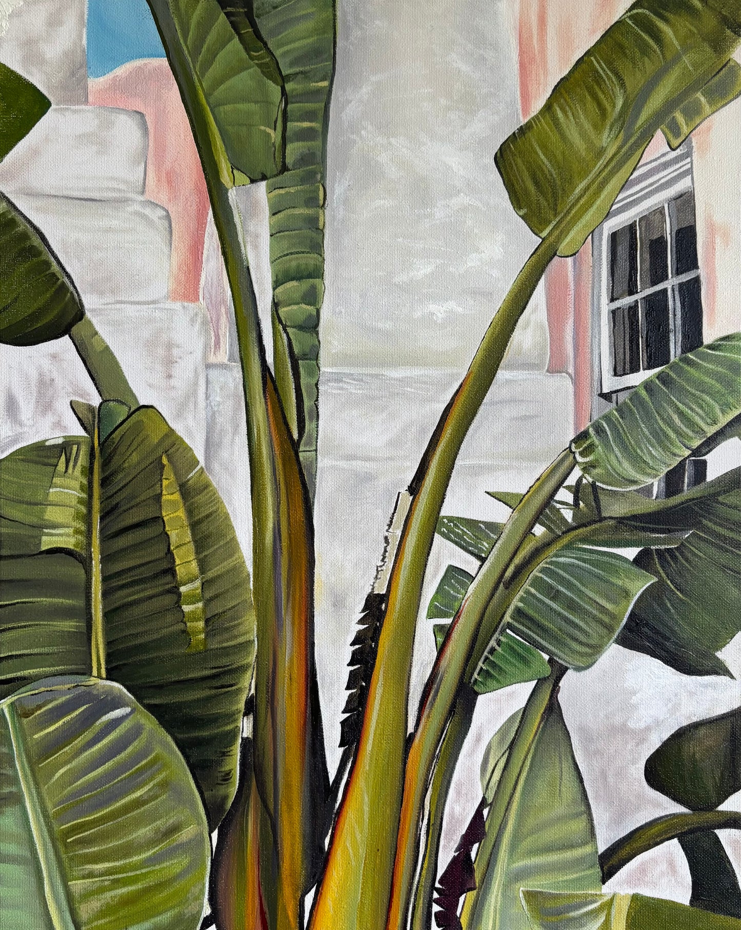 Bermuda Green